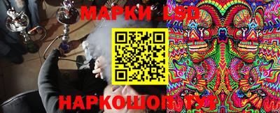 сатива Лесосибирск